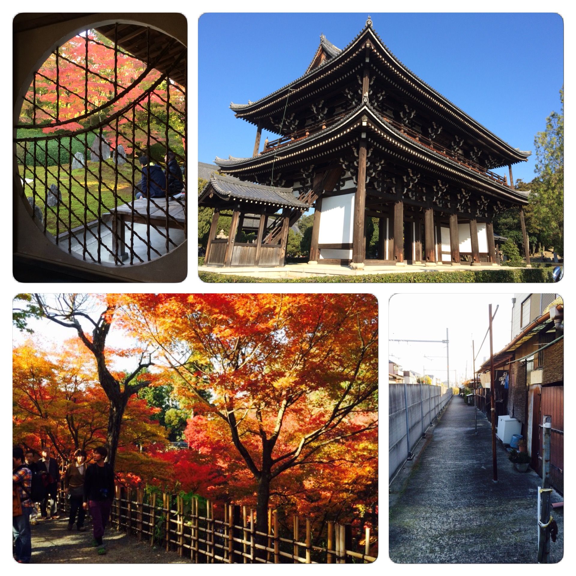 秋の京都